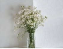 Small white flowers in a glass vase
